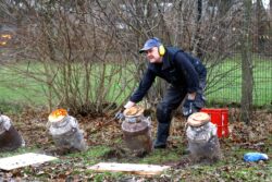 Weer carbid schieten op oudjaarsdag!